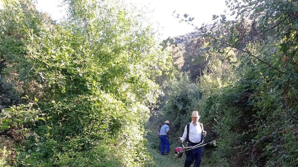Voluntarios limpiando una de las sendas de la sierra de Algairén. | SERVICIO ESPECIAL