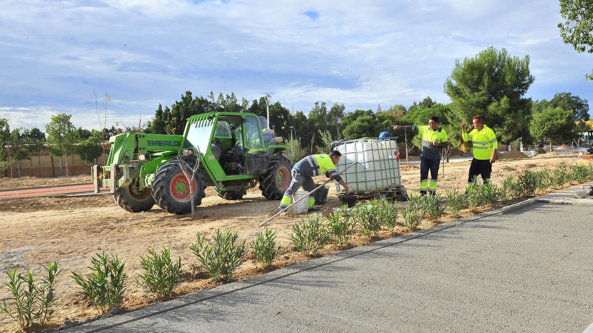 Elche, Obras del jardín Victinas del covid, junto al cementerio viejo