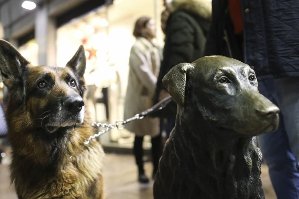 Grabación del documental sobre Rufo en Oviedo