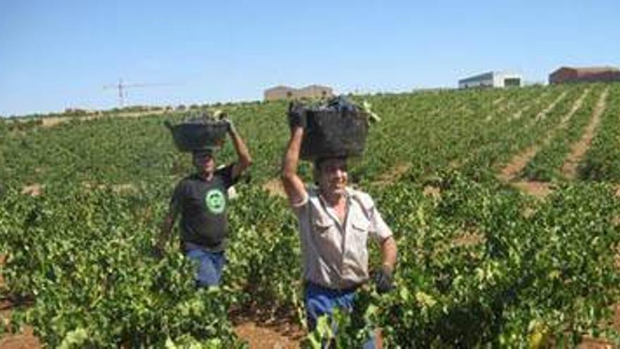 Los agricultores podrán elegir coberturas con el nuevo sistema de gestión de seguros