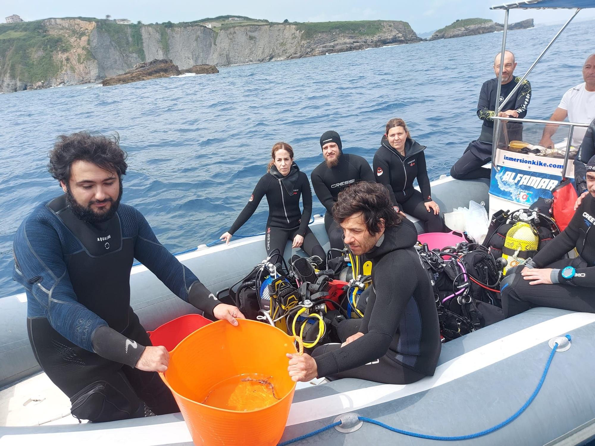 Así fue la suelta de tiburones en Gijón por el Día de los Océanos (en imágenes)