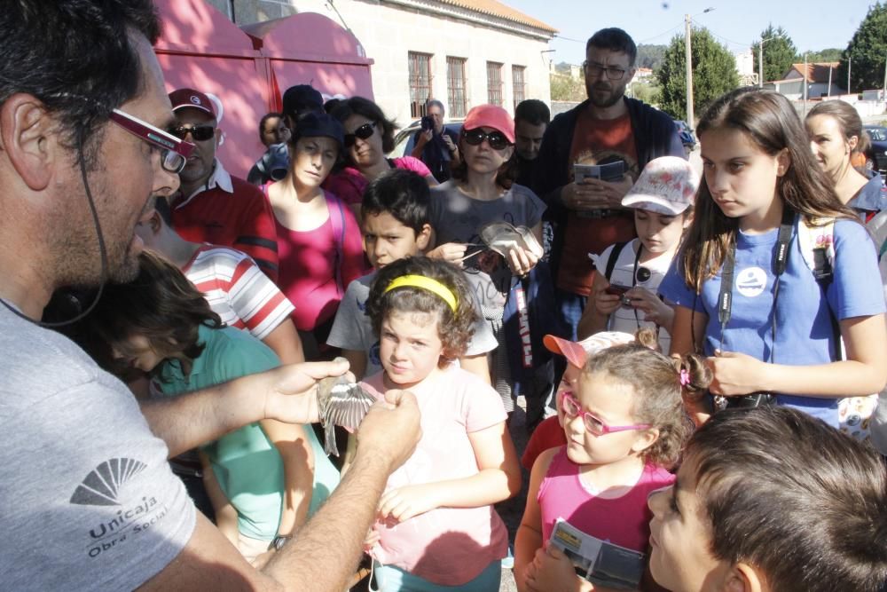 Jornada de anillamiento en Cangas