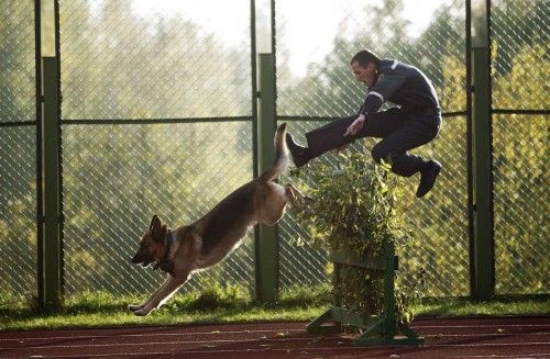 El oficial del ministerio de interior bielorruso salta por encima de un obstáculo con su perro guardián. Participan en un espectáculo de competición de habilidades frente al ministerio en el sesenta aniversario de la institución, en Minsk