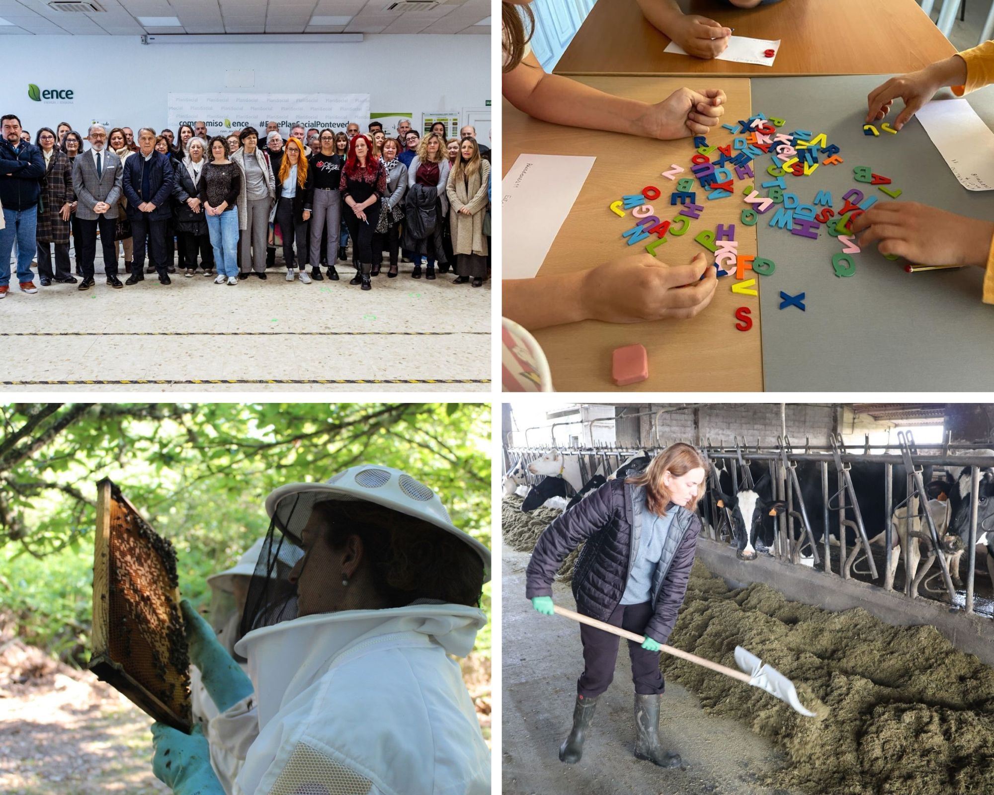 Distintas actividades del Plan Social de ENCE.