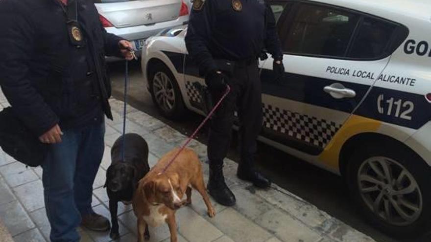 La Policía salva a dos perros