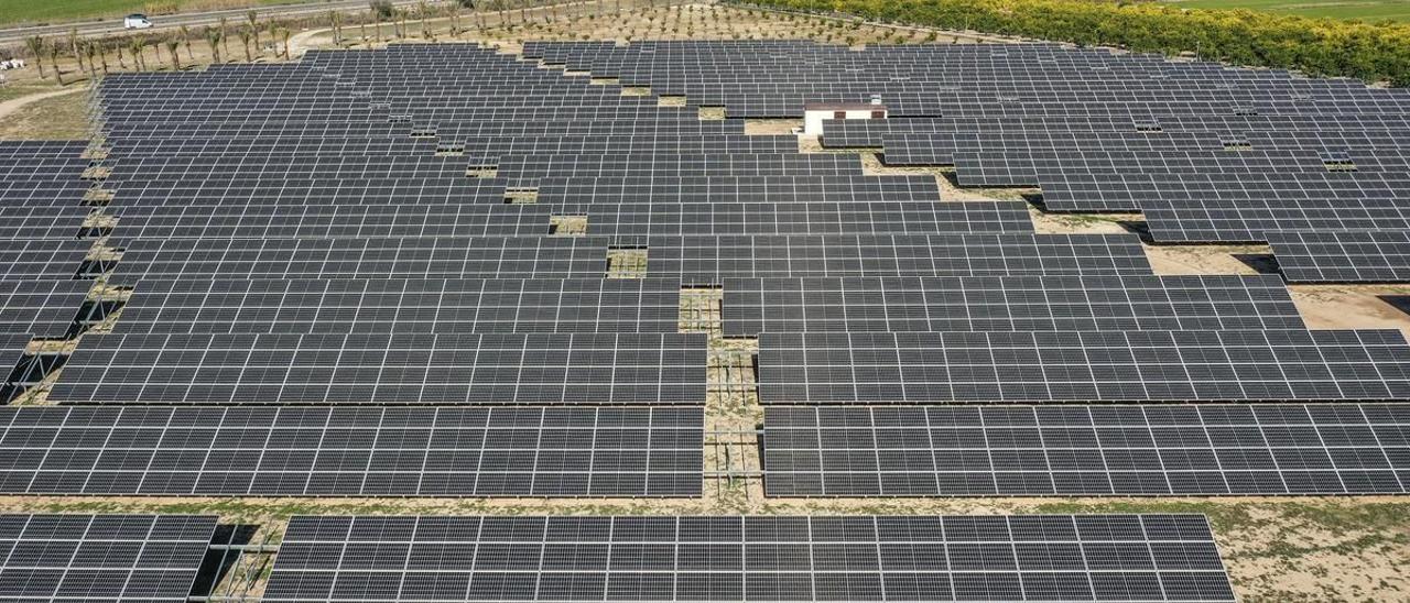 Planta fotovoltaica situada en el sur de la Comunitat Valenciana.