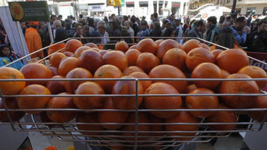 Naranjas sanguinas, en la bandeja de una máquina de exprimir. INFORMACIÓN