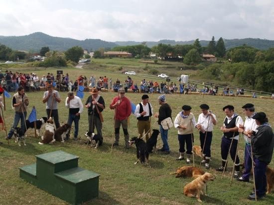 Concurs de gossos d''atura de Castellterçol