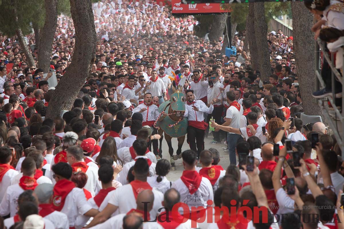 Así ha sido la carrera de los Caballos del Vino en Caravaca