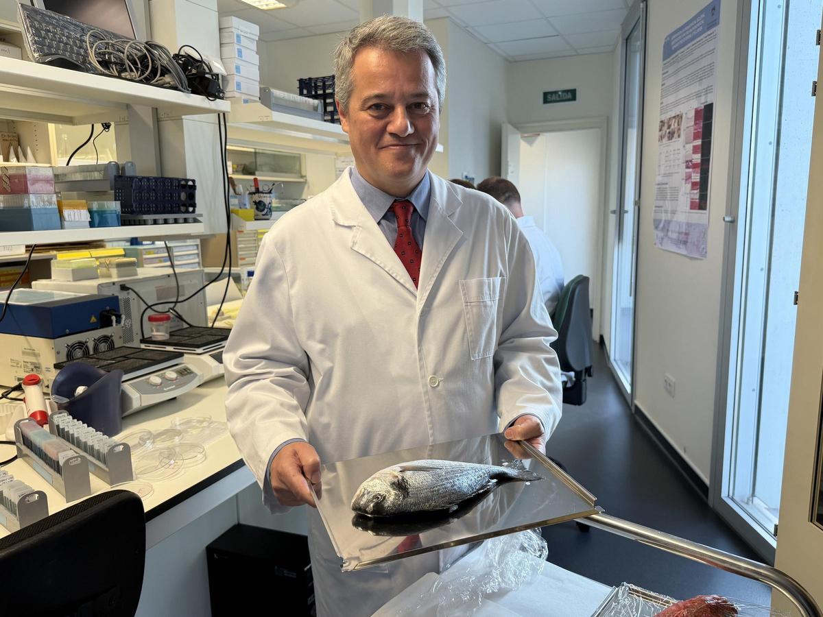 El catedrático de la UGR Miguel Alaminos