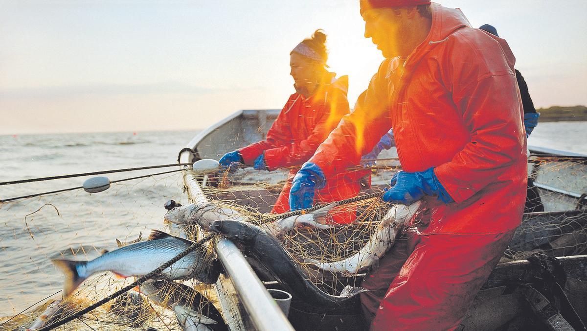 «La solució a la sobrepesca no és deixar de menjar peix salvatge, sinó escollir-lo de pesques sostenibles»