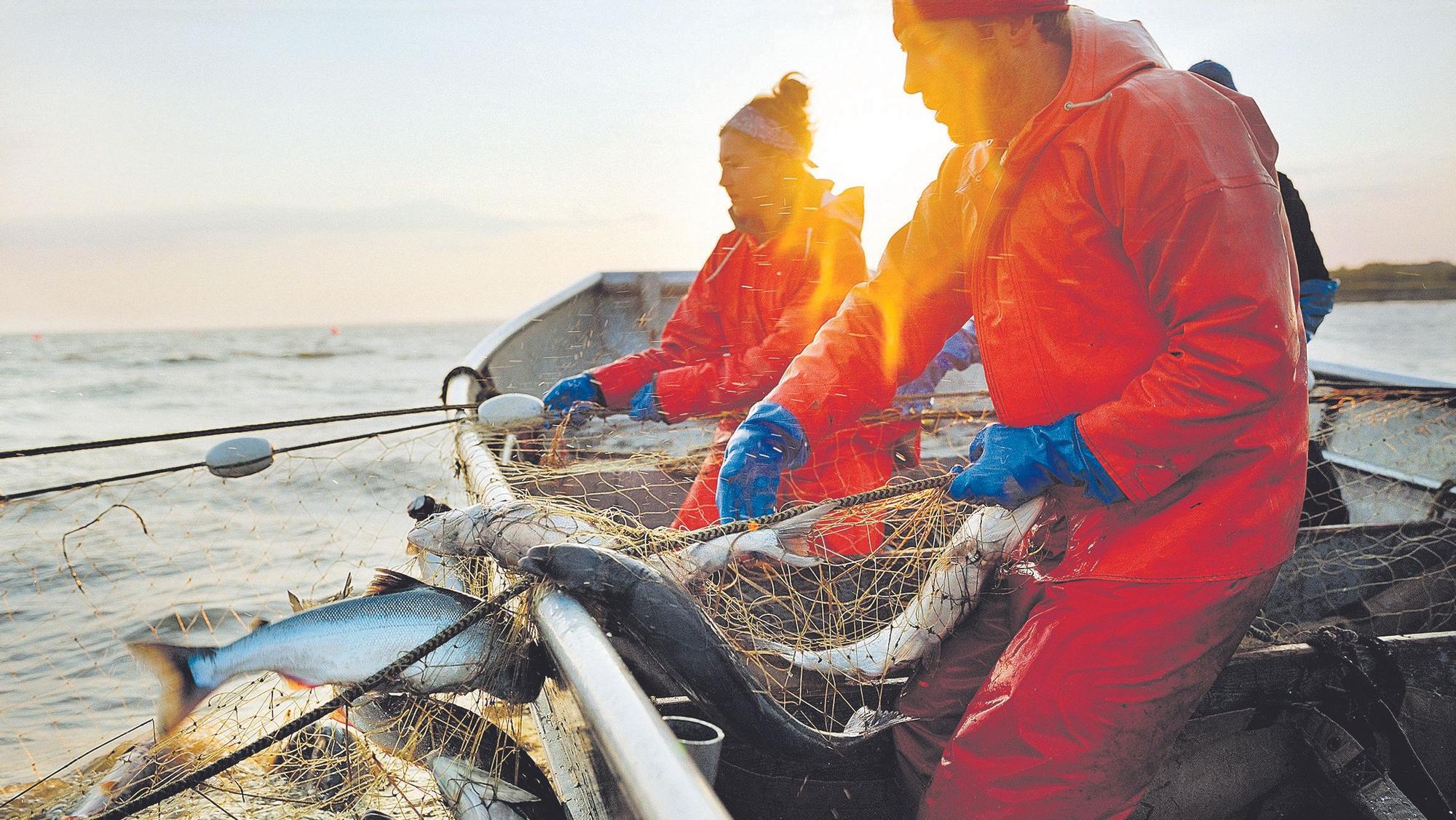 Alaska ha sido pionera en el desarrollo de un sistema de gestión de la pesca que hoy en día es el más avanzado, estricto y eficaz del mundo
