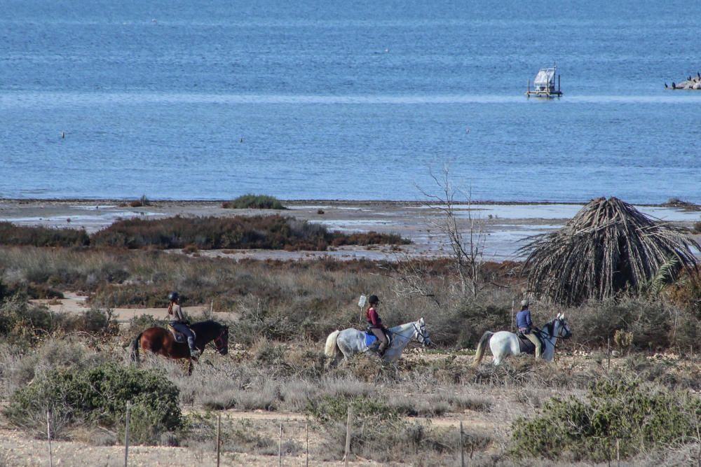 Ruta ecoturistica por el parque natural de La Mata