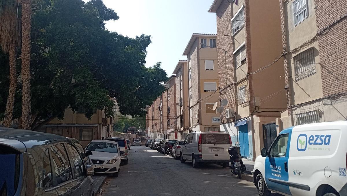 La calle Concejal Pedro Ruz García de La Palmilla, hace unos días.