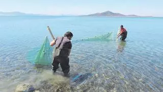 Un refugio para la fauna del Mar Menor hasta los dos metros de profundidad