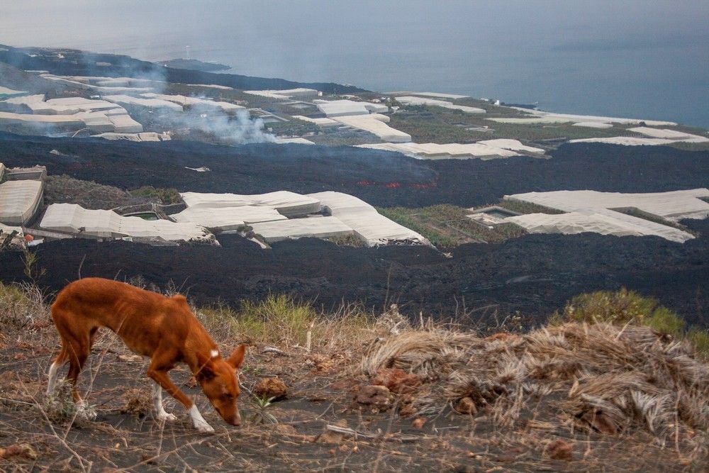 60 días de erupción del volcán de La Palma