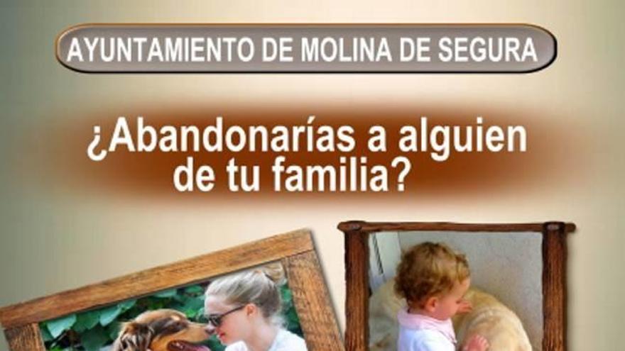 Campaña contra  el abandono  de animales en Molina de Segura