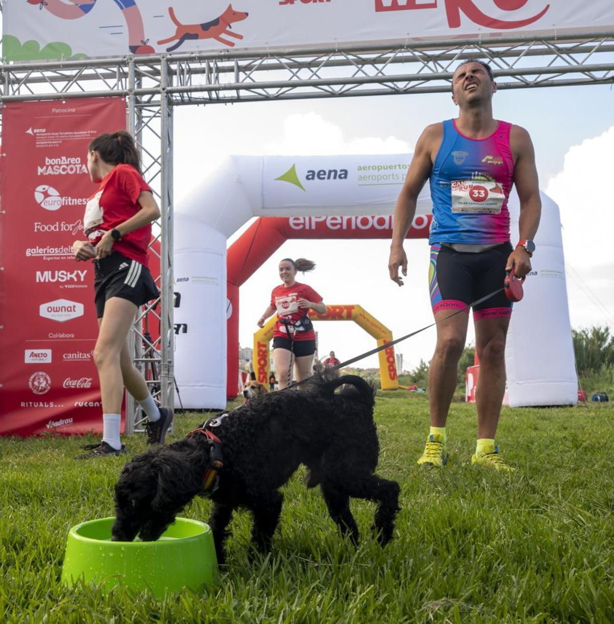 La quarta edició de la Can We Run reuneix mil corredors i els seus gossos