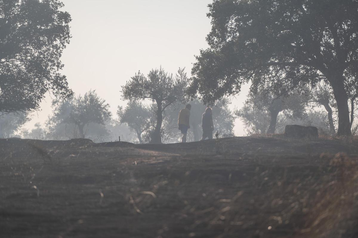 Fotogalería | Las imágenes del incendio de Las Viñas, en Arroyo de la Luz