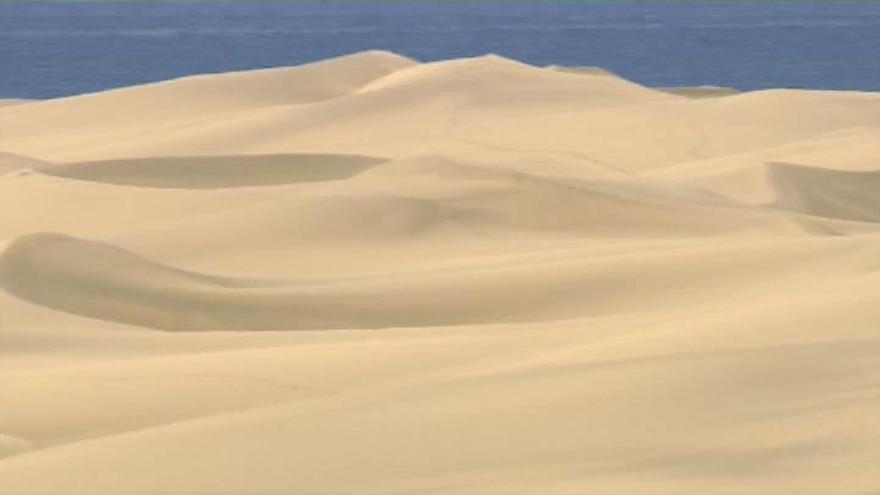 Coronavirus en Canarias | El confinamiento recupera las dunas de Maspalomas
