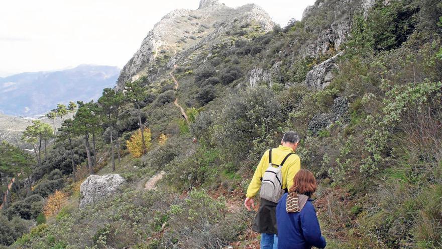 Los municipios podrán declarar  parajes naturales protegidos en suelo privado