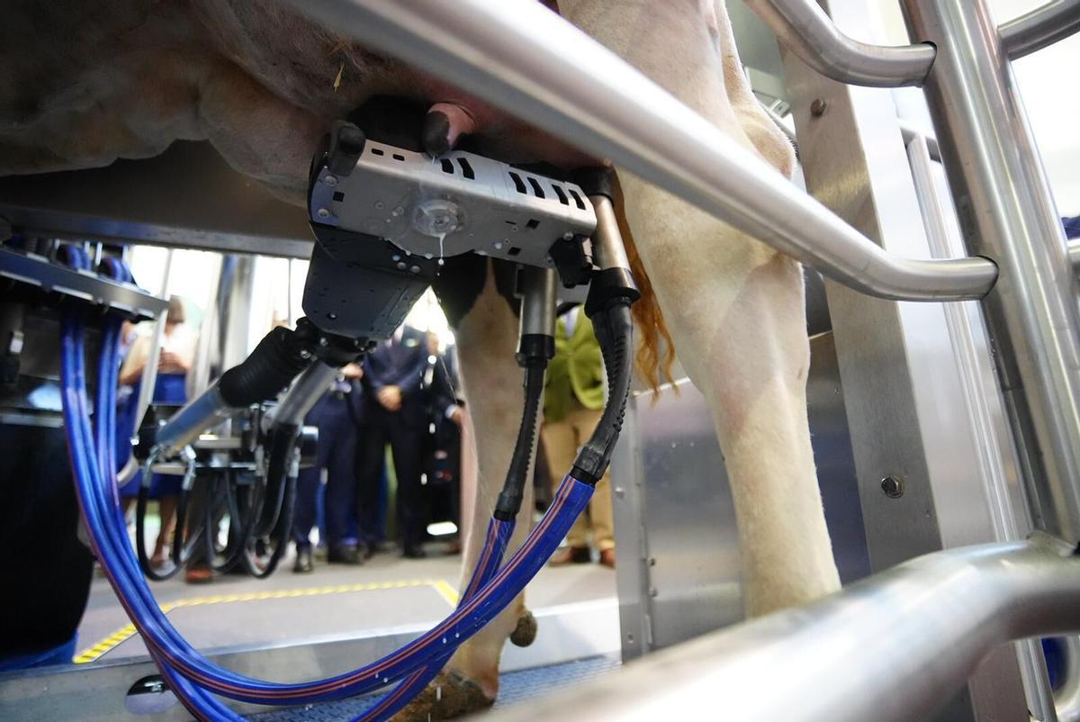 Robot que ordeña y que se puede ver en la Feria Agroganadera de Los Pedroches en 2026