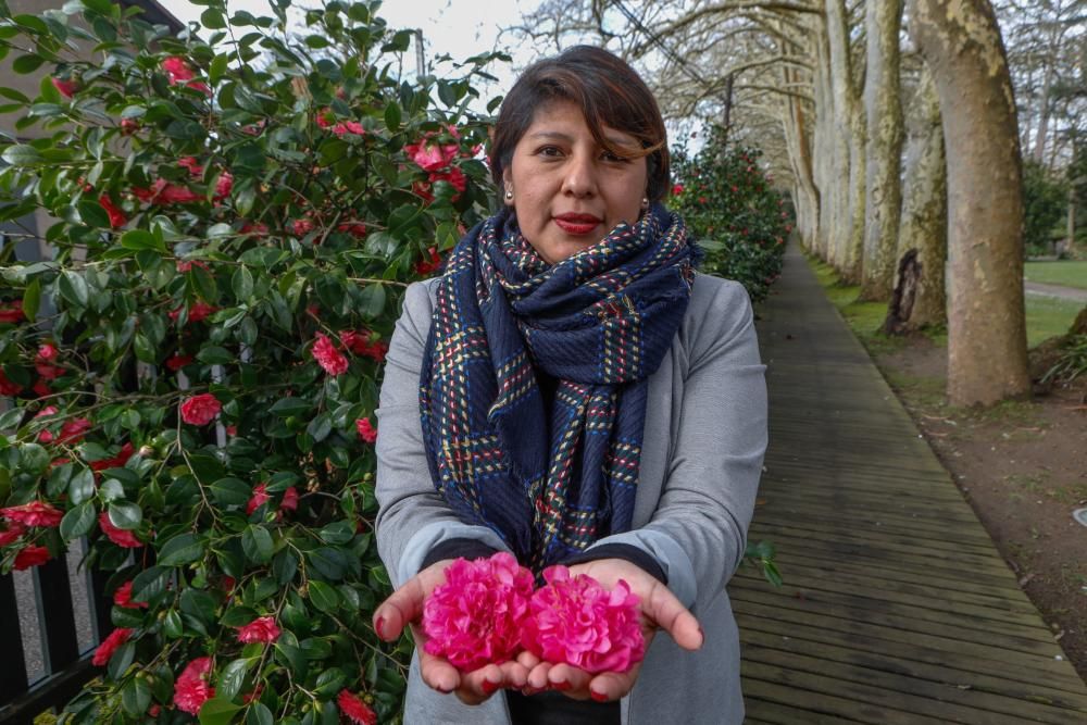 Camelias en el Botánico