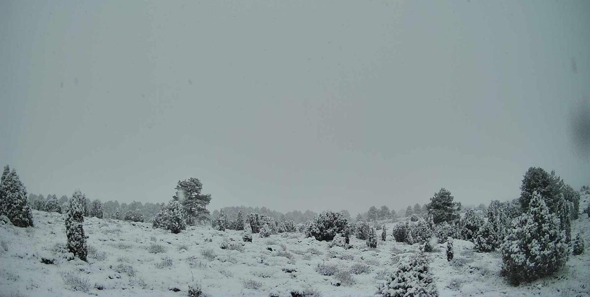 La neu cobrix de blanc Vilafranca, a Castelló