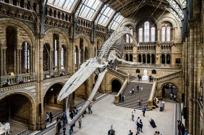 Museo británico de Historia Natural, Londres