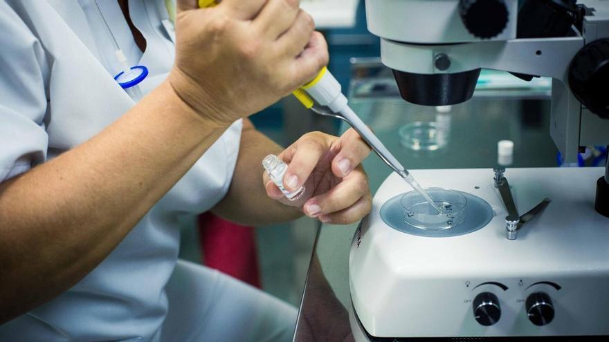 Por qué cada vez más mujeres deciden preservar su fertilidad