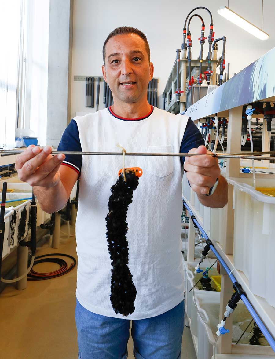 Ángel Diz sujetando una de las líneas de mejillones unisex