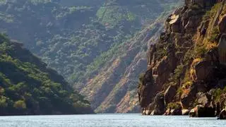 El pueblo donde mejor se come de Galicia: un tesoro "infravalorado" en plena Ribeira Sacra