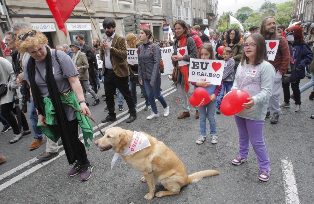 Diferentes entidades y colectivos salen a la calle para denunciar los impedimentos para usar el idioma "con normalidad" en el día a día.