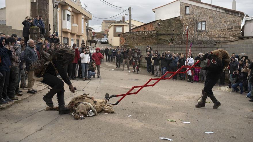 Distintos momentos de la salida de la mascarada de los Carochos, ayer por las calles de Riofrío de Aliste. | Emilio Fraile