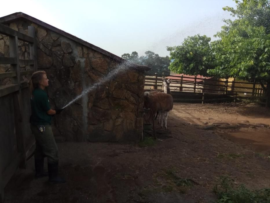 Laura, una de las cuidadoras de zoo, refresca las instalaciones de los animales