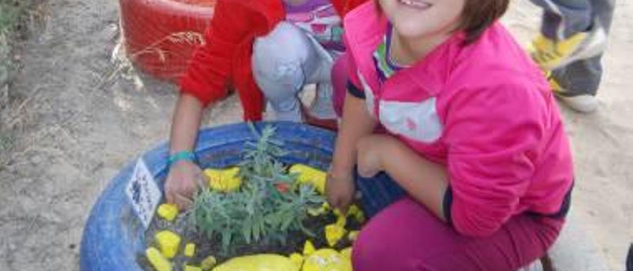 Distintas imágenes del programa sobre biodiversidad llevado a cabo desde el colegio público Juan Rico y Amat de Elda, que ha merecido un premio de ámbito nacional.