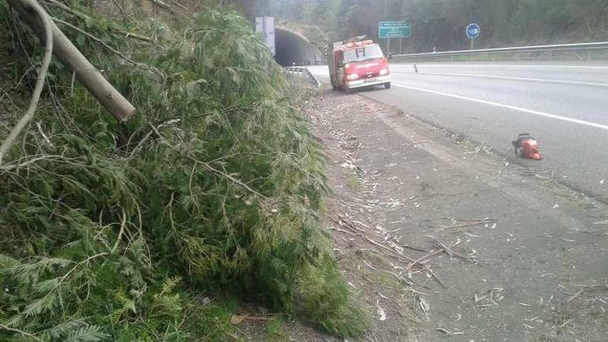 Árbol que cayó sobre un carril del corredor en Coiro. // G.N.