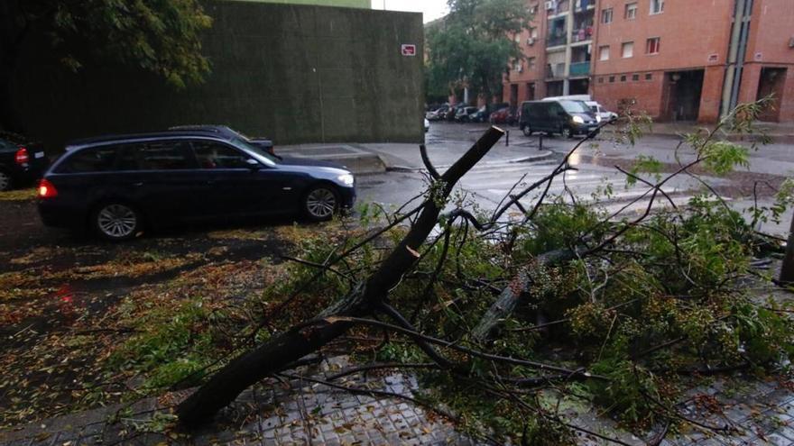 El temporal deja 31,6 litros en Córdoba