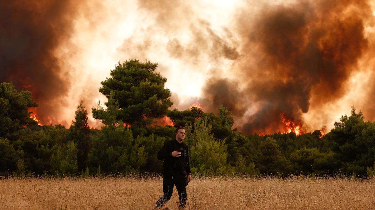 Incendio forestal