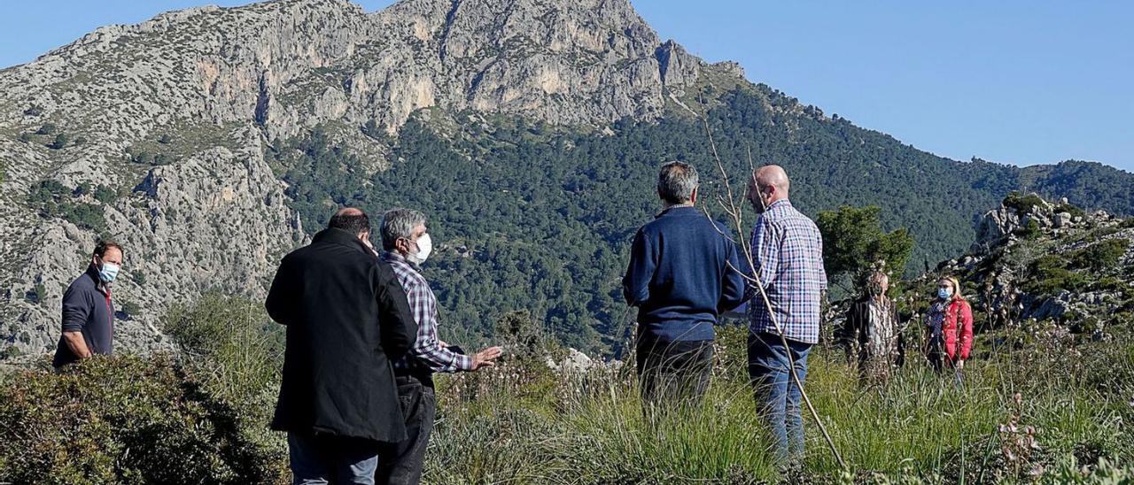 Técnicos de Calvià se desplazaron el mes pasado a la ‘frontera’ de Galatzó con Puigpunyent. | J.L.IGLESIAS