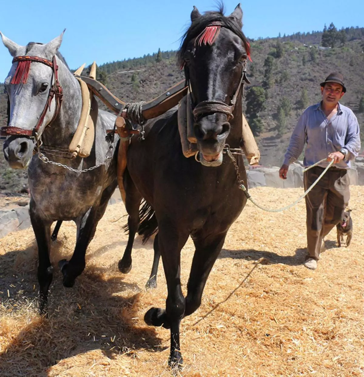 La Fundación de nuestro mundo rural