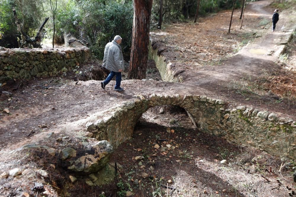 La fuente que alimentaba el canal de Fruitera y los huertos cercanos a Santa Gertrudis vuelve a estar a la vista