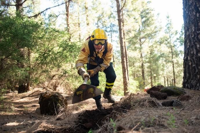 La UME realiza prácticas de prevención de incendios en Gran Canaria