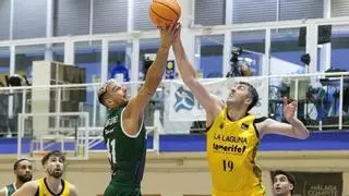 La obsesión de Jaka Lakovic, técnico de La Laguna Tenerife, con el Unicaja: «Si Willy Hernangómez recibe en la pintura, media batalla está perdida»