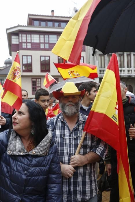 Manifestación en Oviedo por la unidad de España