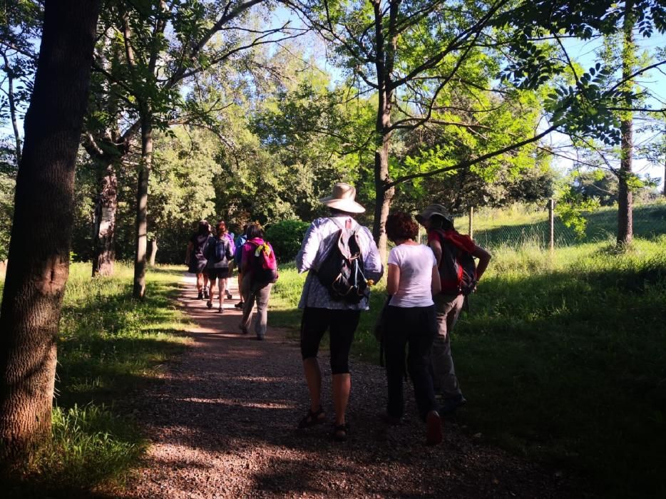 Festival de senderisme del Berguedà