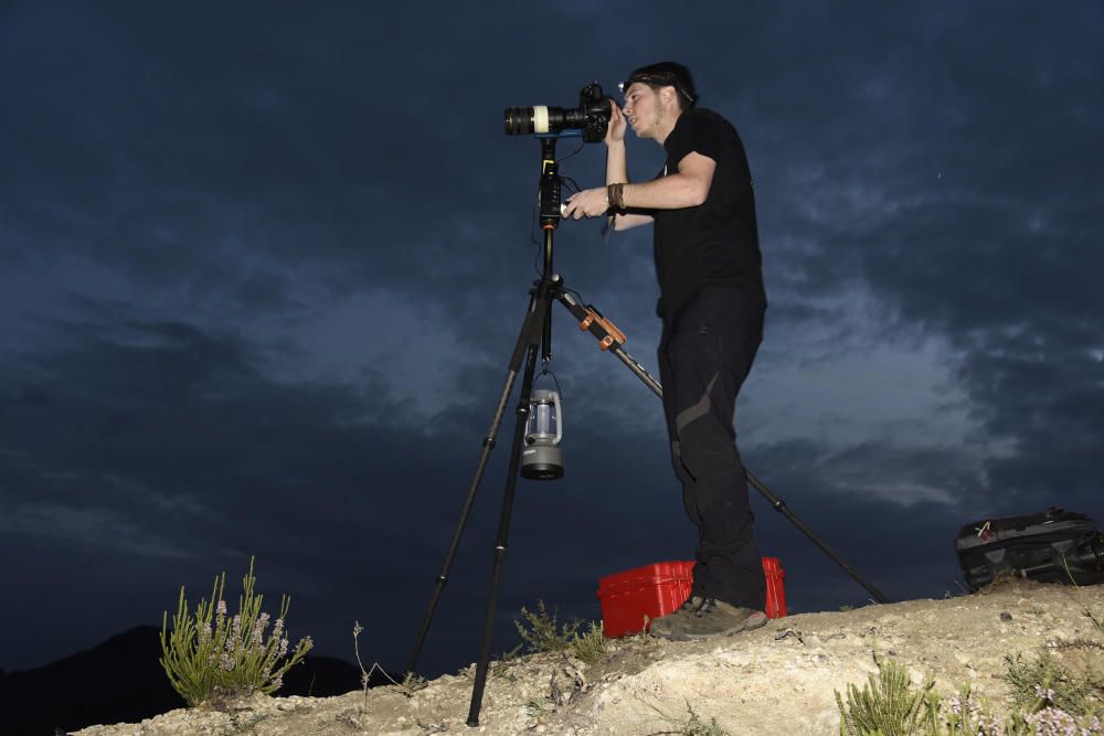 Preparatius per una gigafoto de rècord al bosc de les creus