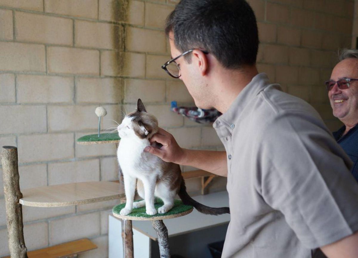 Medio centenar de perros y veinte gatos estrenan el Centro de Protección Animal