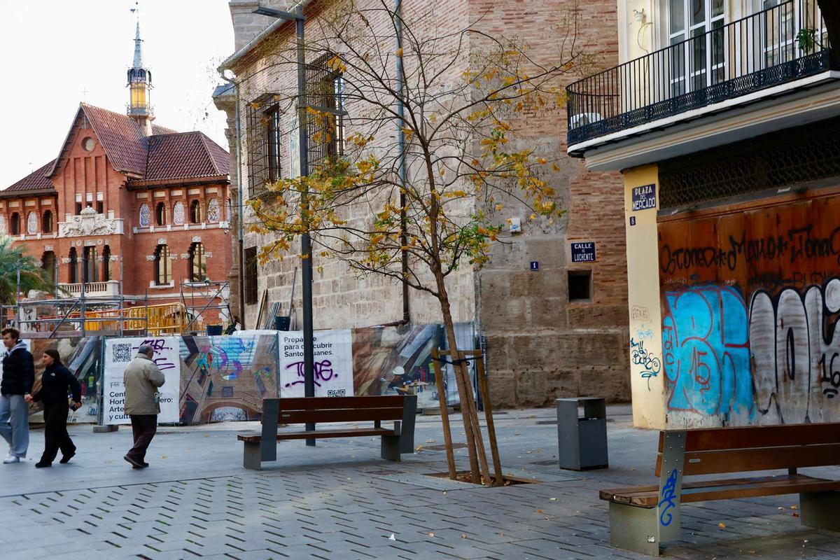 Árboles plantados en el centro de València