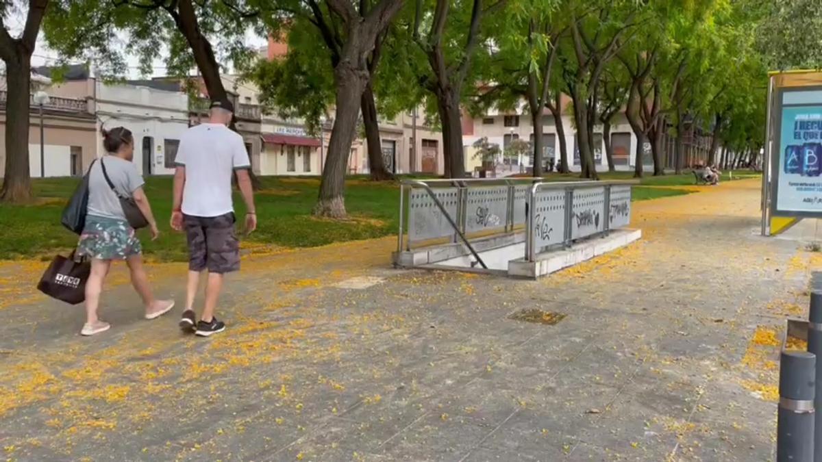 Lugar donde una víctima de los relojeros recibió una paliza en Les Corts (Barcelona)